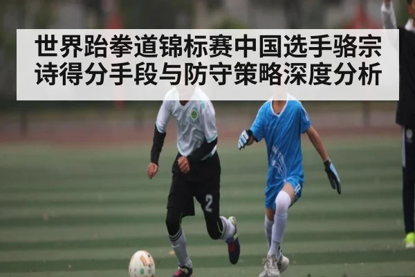 世界跆拳道锦标赛中国选手骆宗诗得分手段与防守策略深度分析