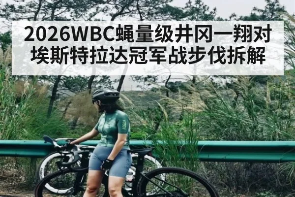 2026WBC蝇量级井冈一翔对埃斯特拉达冠军战步伐拆解